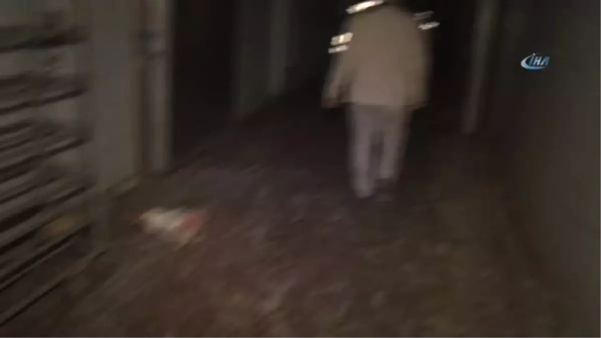 Adana\'da 3 Ton Kesilmiş Kaçak Tavuk Ele Geçirildi