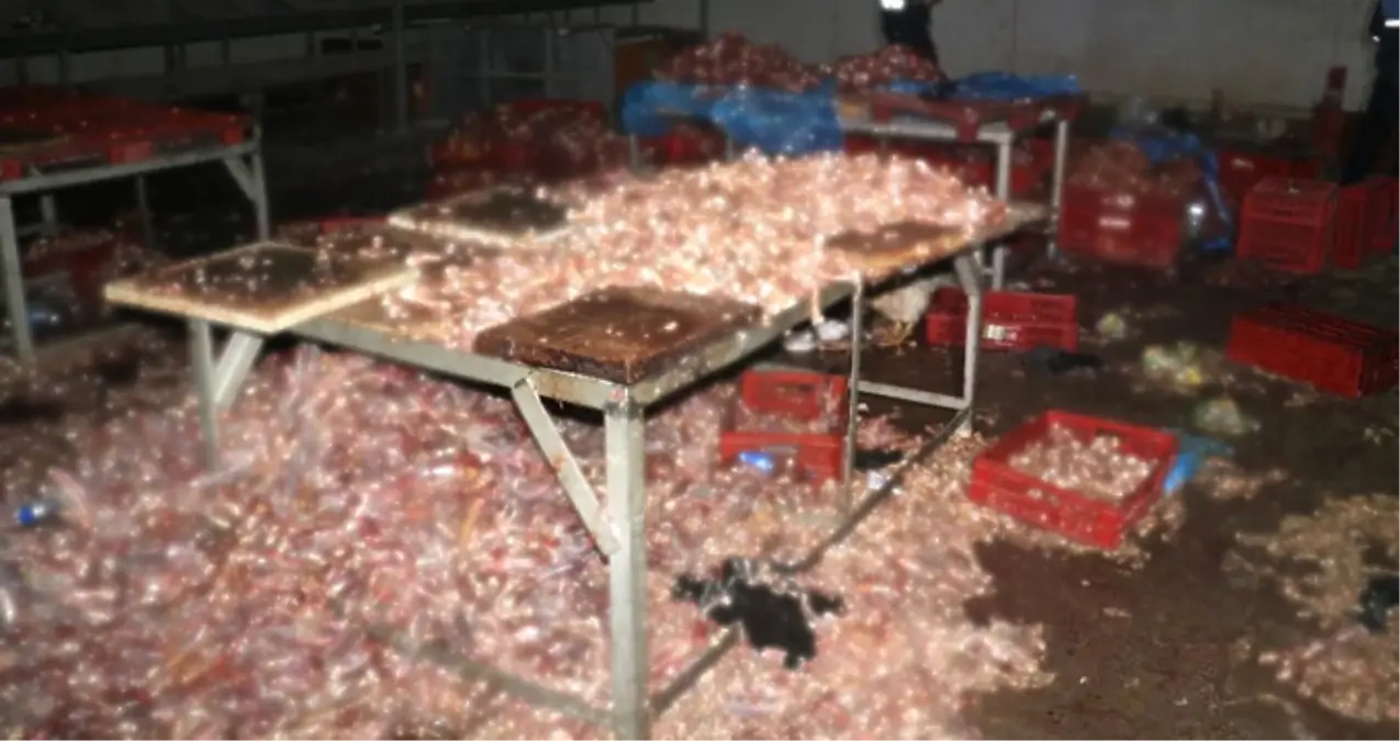 Adana\'da İğrenç Görüntü! 3 Ton Kaçak Kesilmiş Tavuk Ele Geçirildi