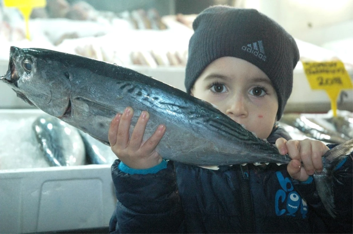 Kahramanmaraş\'ta Balık Fiyatları Tavan Yaptı