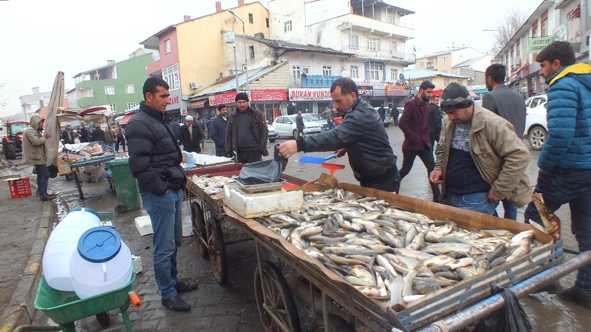 Vatandaşlar Murat Balığına Yoğun İlgi Gösterdi