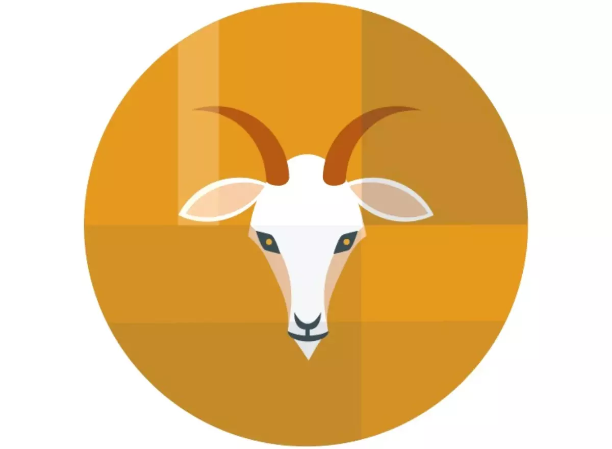 25 - 31 Aralık 2017 Haftasında Oğlak Burcunu Neler Bekliyor?