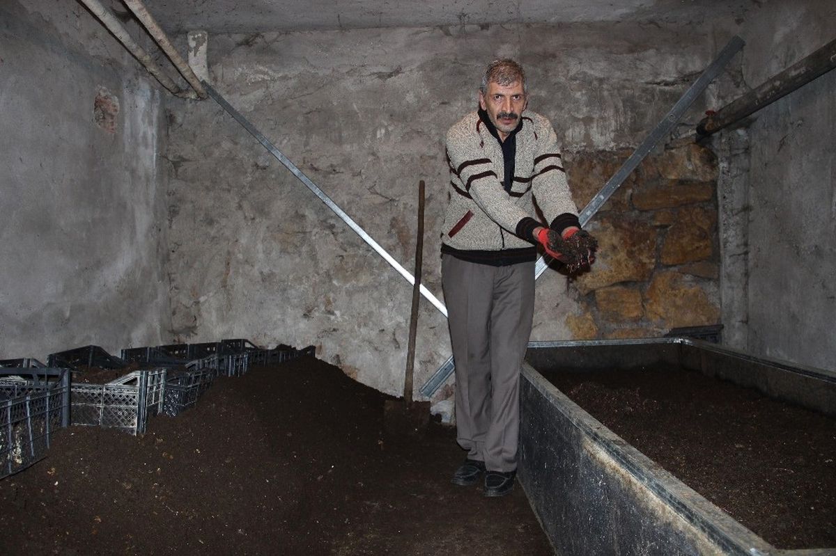 Evinde Yüz Binlerce Solucan Besliyor