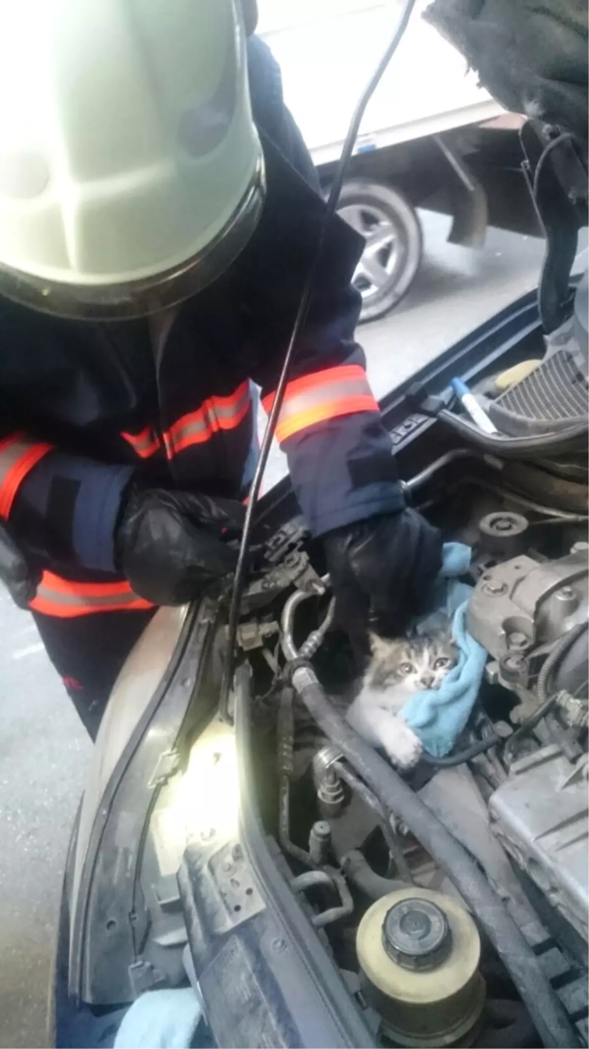 Otomobilin Motor Kısmına Sıkışan Kediyi İtfaiye Kurtardı