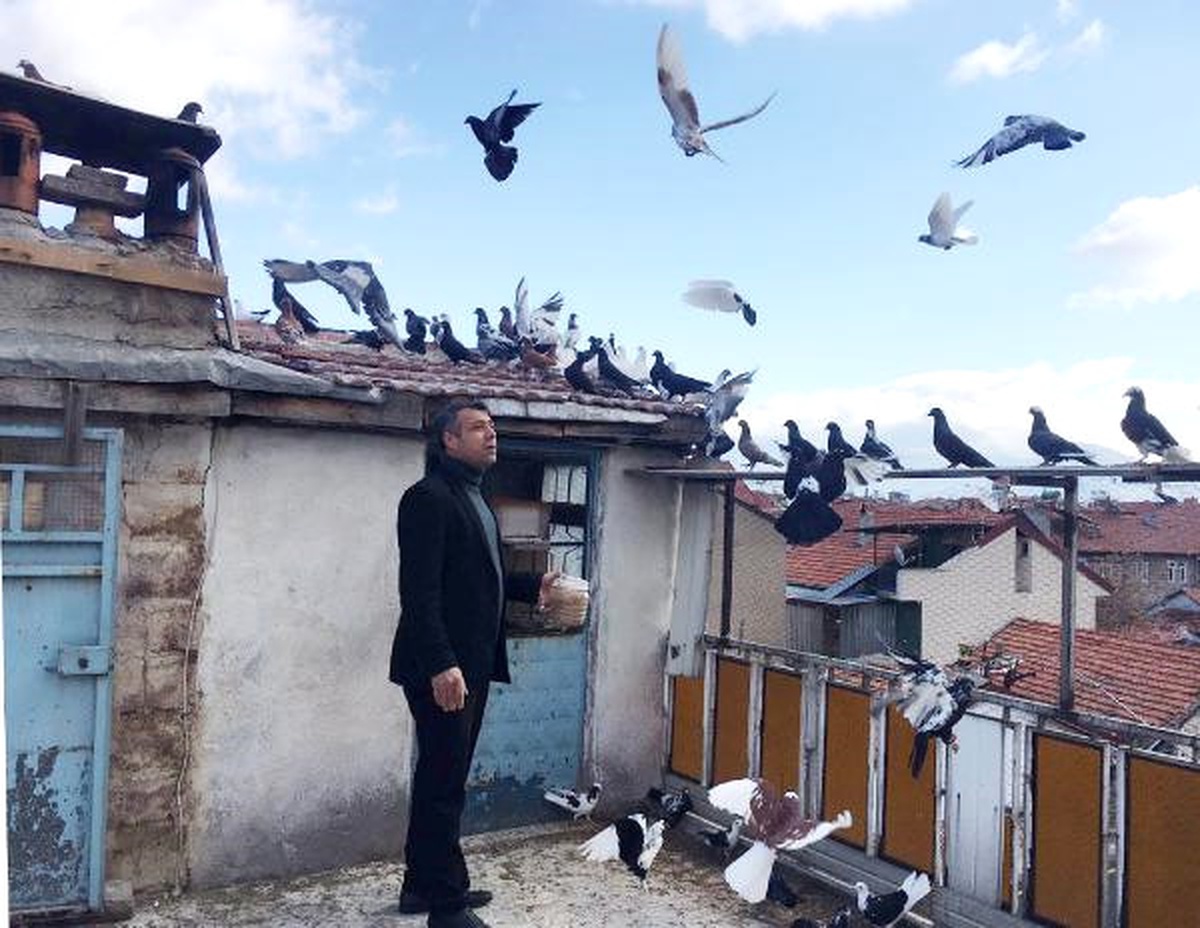 Isparta Güvercinine Has Oyun Stili İçin Patent Başvurusu