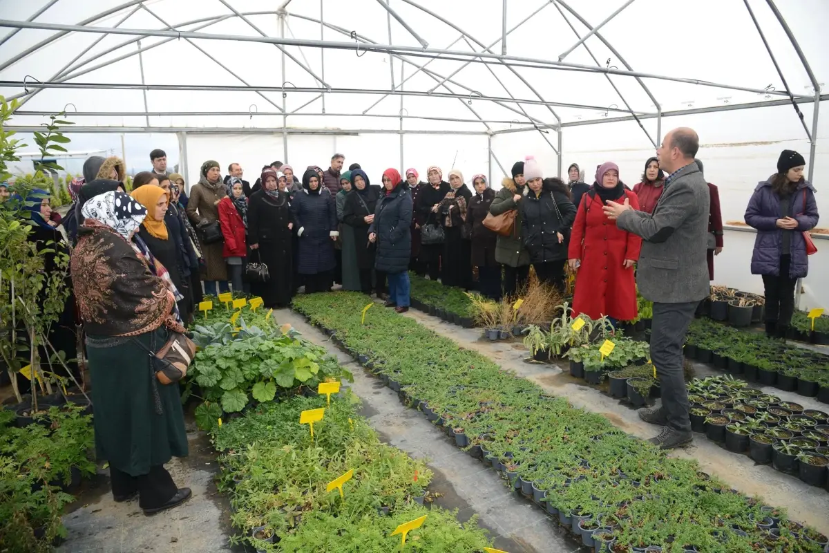 Seracılık Kursiyerleri BAÇEM\'de