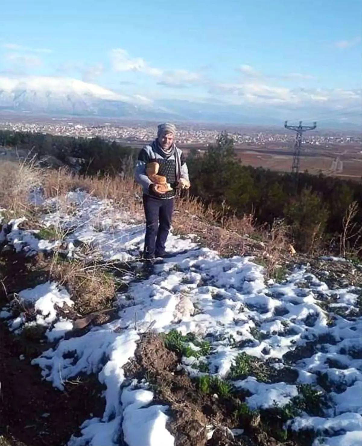 Sokak Hayvanları İçin Doğaya Yiyecek Bıraktılar