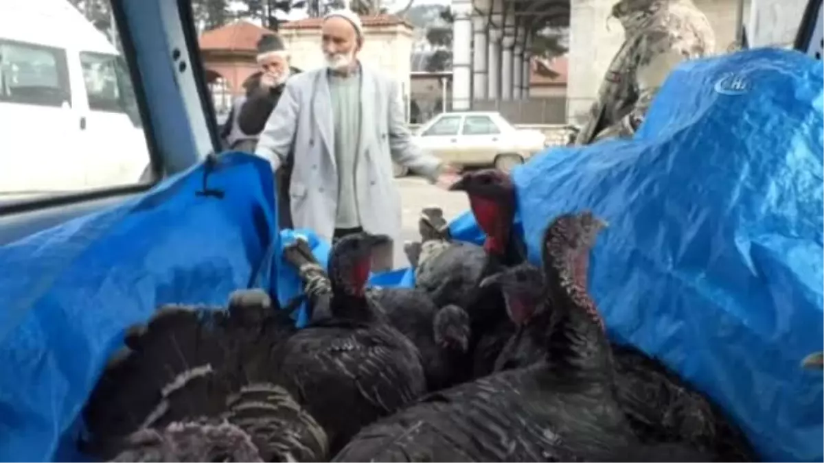 Üşümesinler Diye Hindileri Otomobilinde Satıyor