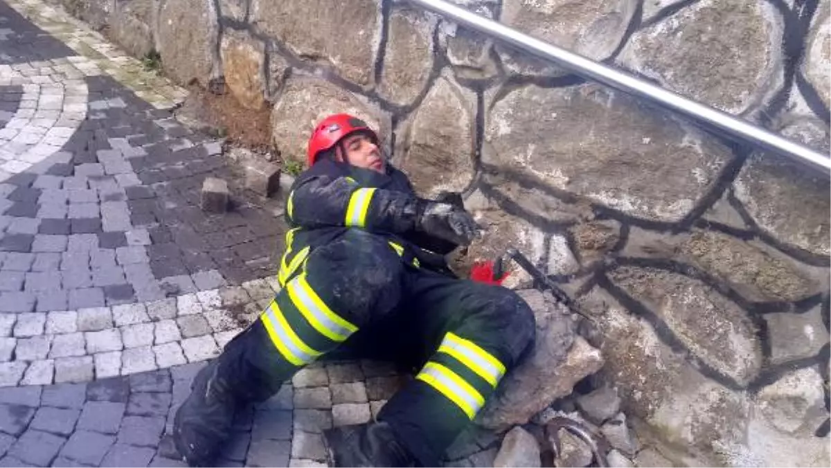 Yaralı Kedi İstinat Duvarındaki Deliğe Girdi, Duvar Kırılarak Kurtarıldı