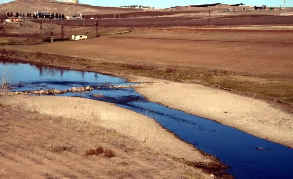 Bölgenin Hayat Kaynağı Dicle Nehri Can Çekişiyor