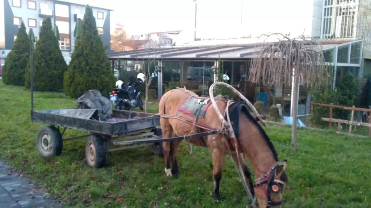 Hırsızlık Yaparken, Polise Suçüstü Yakalandılar