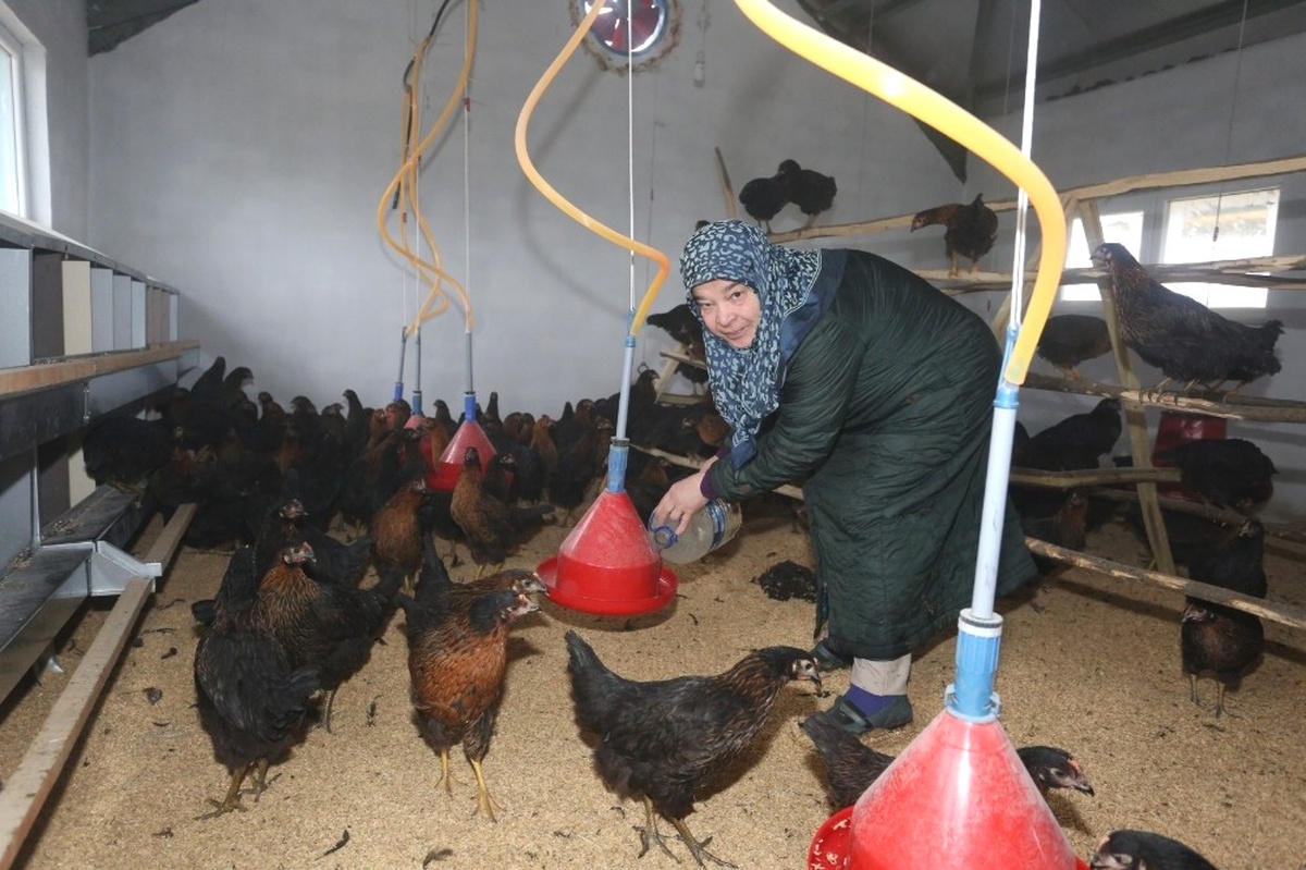 İlknur Teyze Hayalini Kurduğu İşine Kavuştu