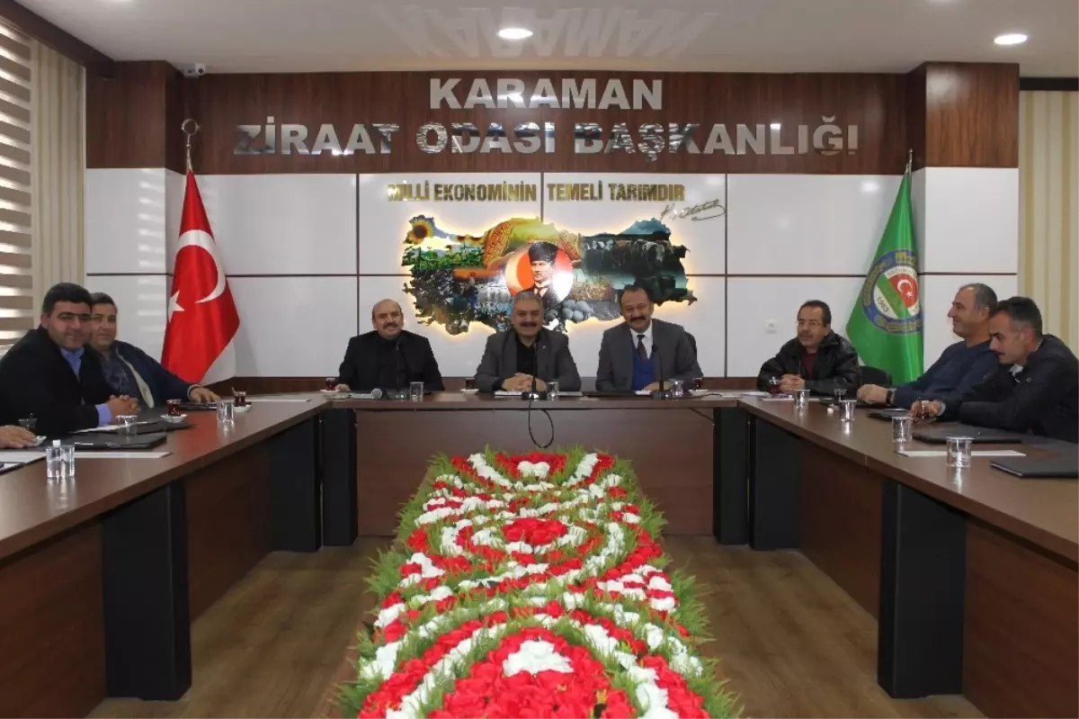 Karaman\'daki Zeytin Üreticileri İçin Kooperatifleşme Çalışmaları