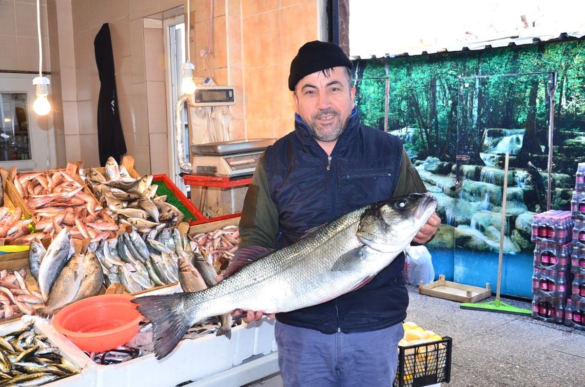 Dev Levrek Kuzu Fiyatına Satıldı