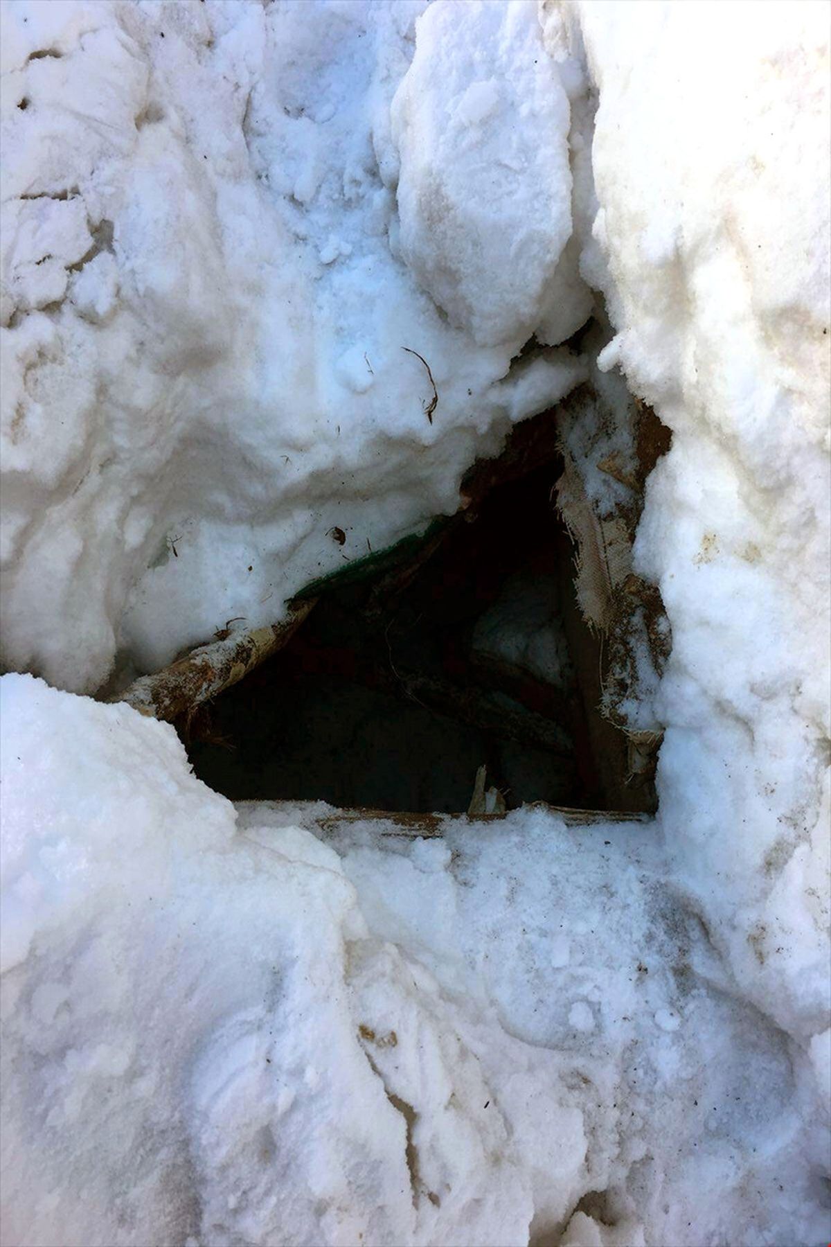 Tunceli\'de Terör Operasyonları