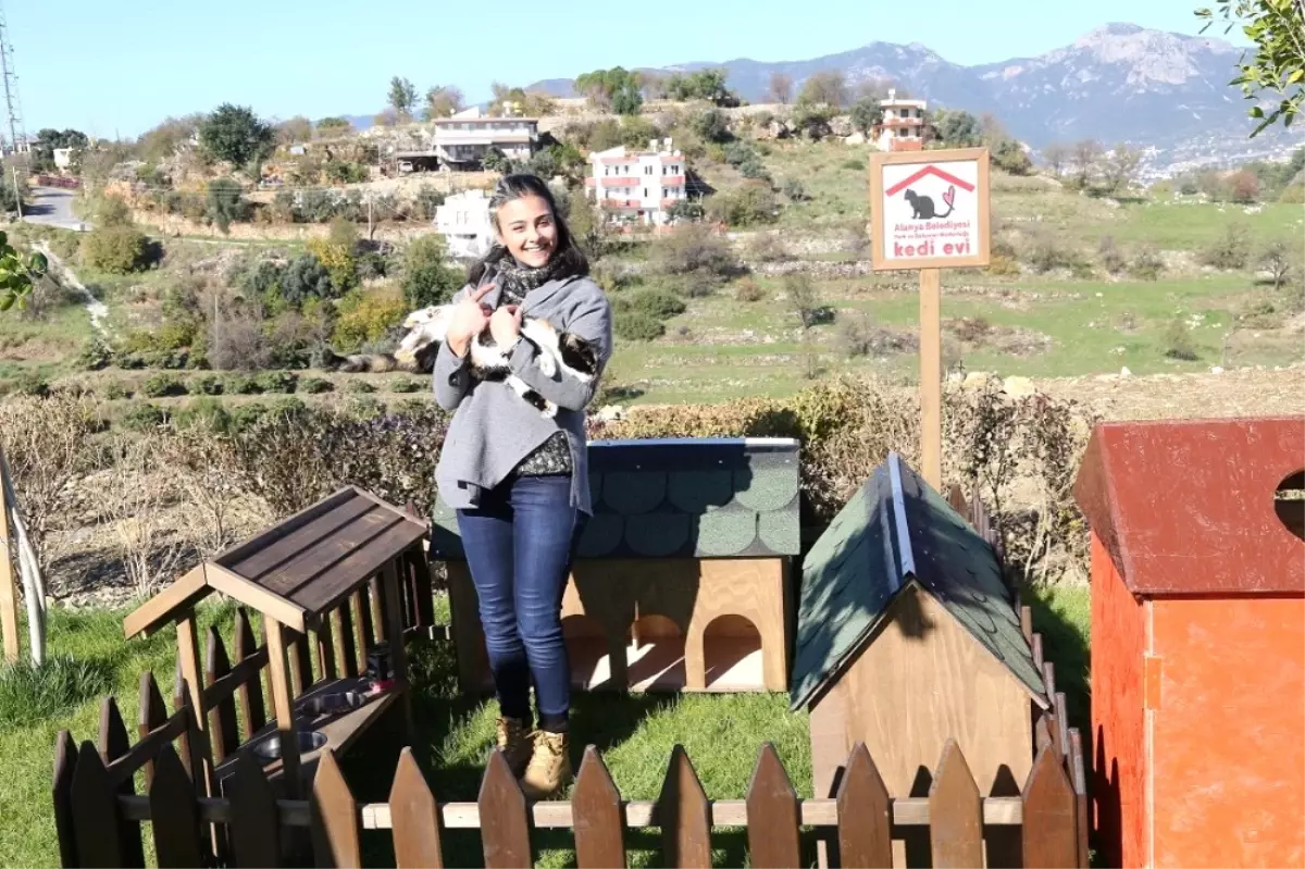 Alkü\'den "Pati Çatısı" Projesi