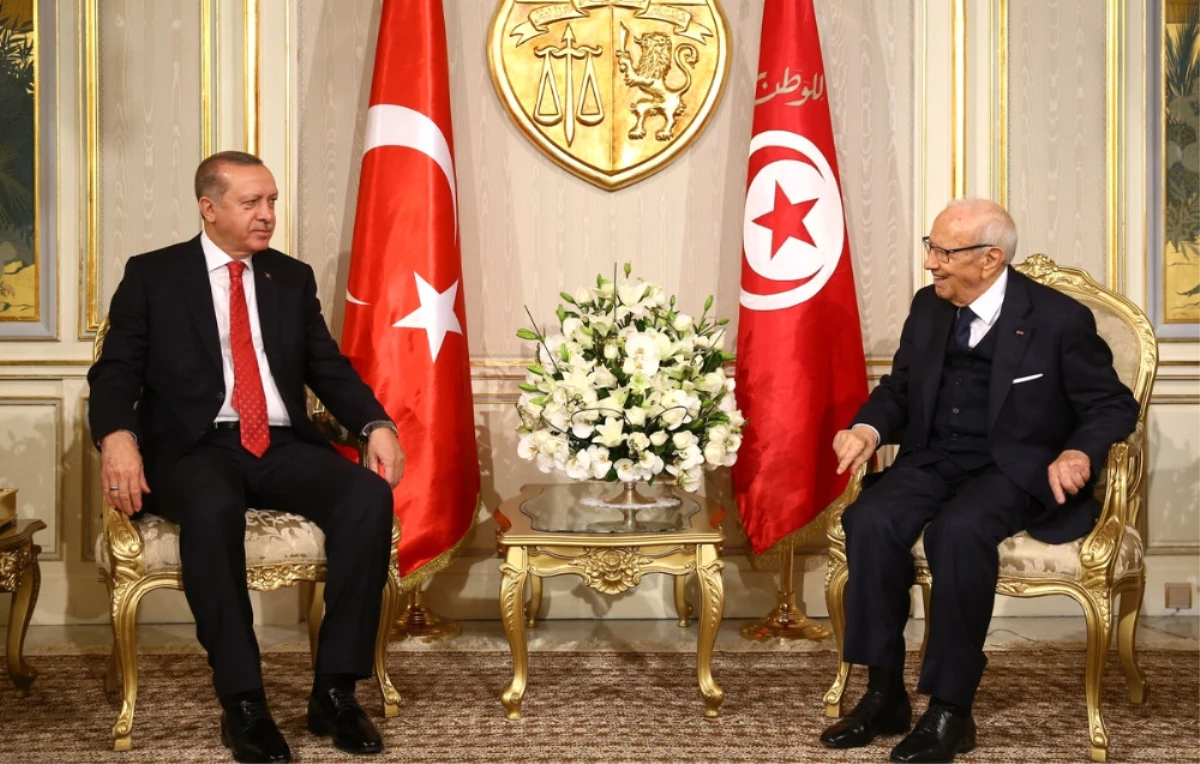 Erdoğan Tunuslu Mevkidaşı ile Görüştü