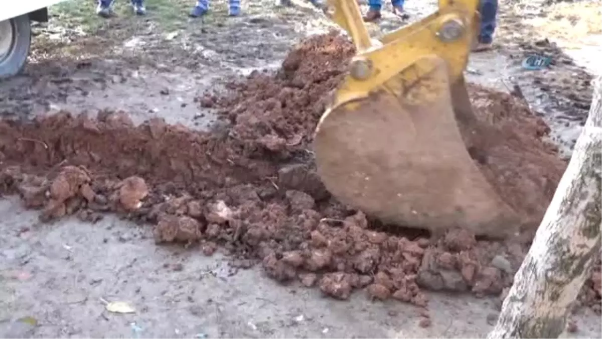 Mimar, Mühendis ve Marangoz El Ele Verdi, Atıklar Oyuncağa Dönüştürüldü