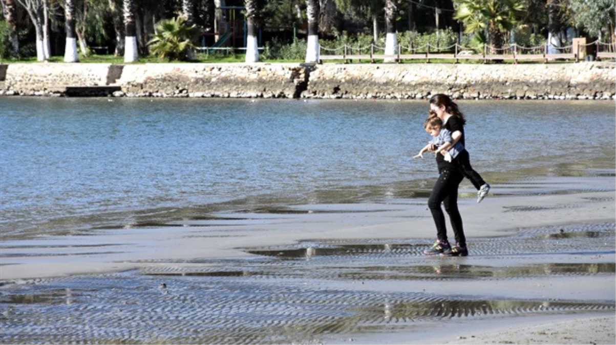 Kışın Ortasında Baharı Yaşayan Muğla\'da Deniz Suyu 25 Metre Çekildi