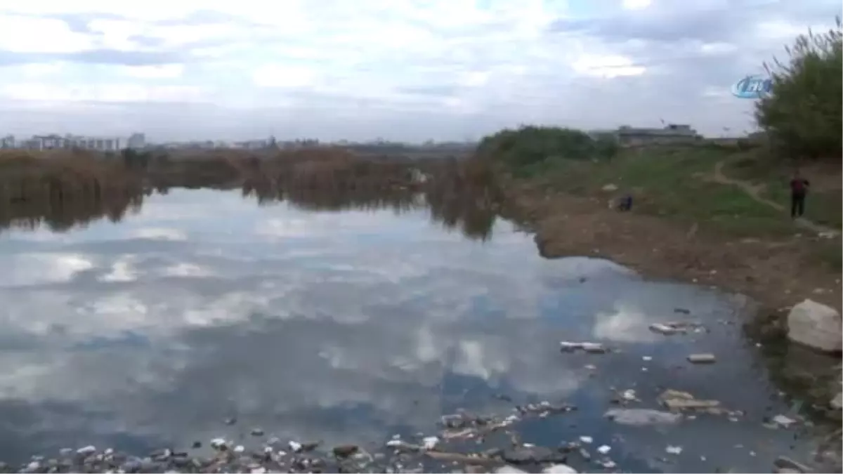 Adana\'da Yüzlerce At, Eşek Kafası ve Kemikleri Bulundu