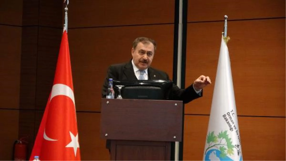 Bakan Eroğlu,cumhurbaşkanı Erdoğan\'la Yaptığı Arıtma Tesisi Diyaloğunu Anlattı