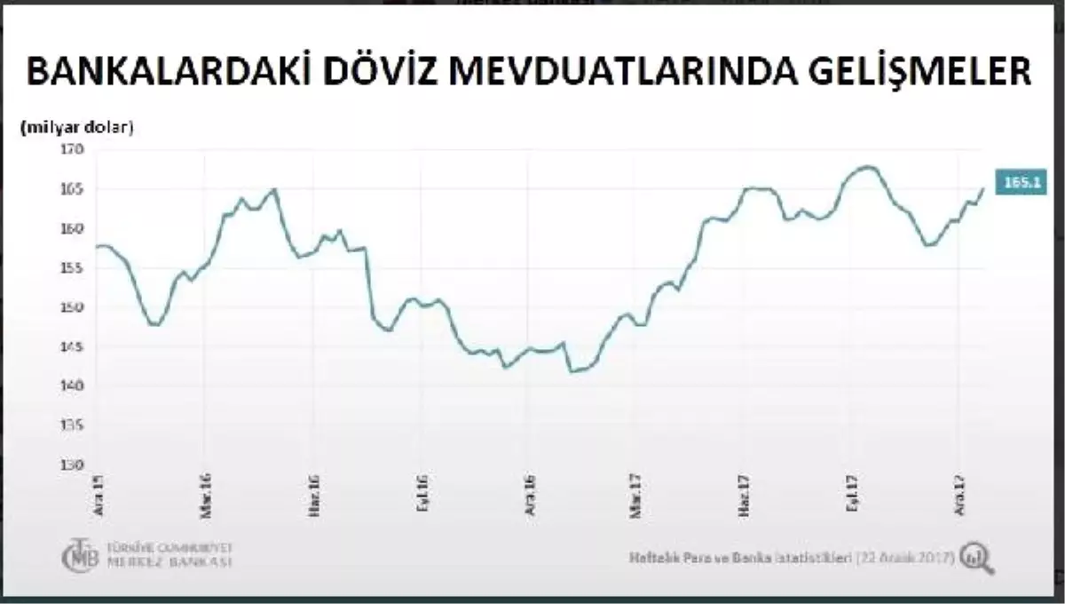 Bankalarda Döviz Mevduatı 165 Milyar Dolara Yükseldi