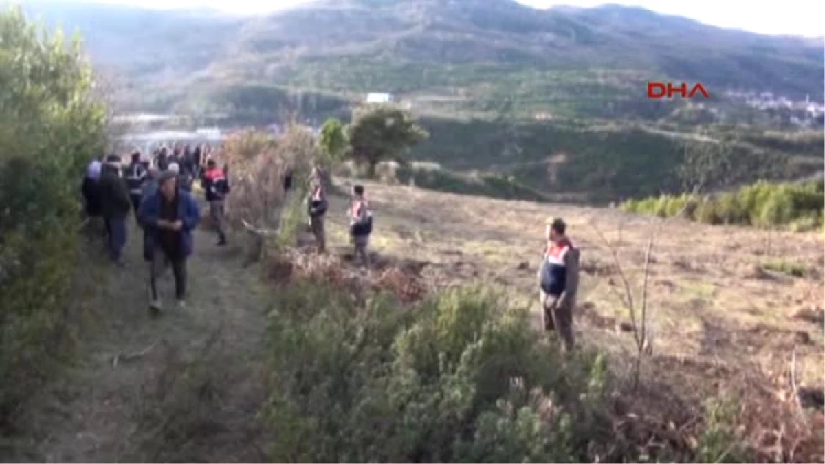 Bartın Amasra\'da Termik Santral İçin Zeytin Ağaçlarının Sökülmesine Tepki