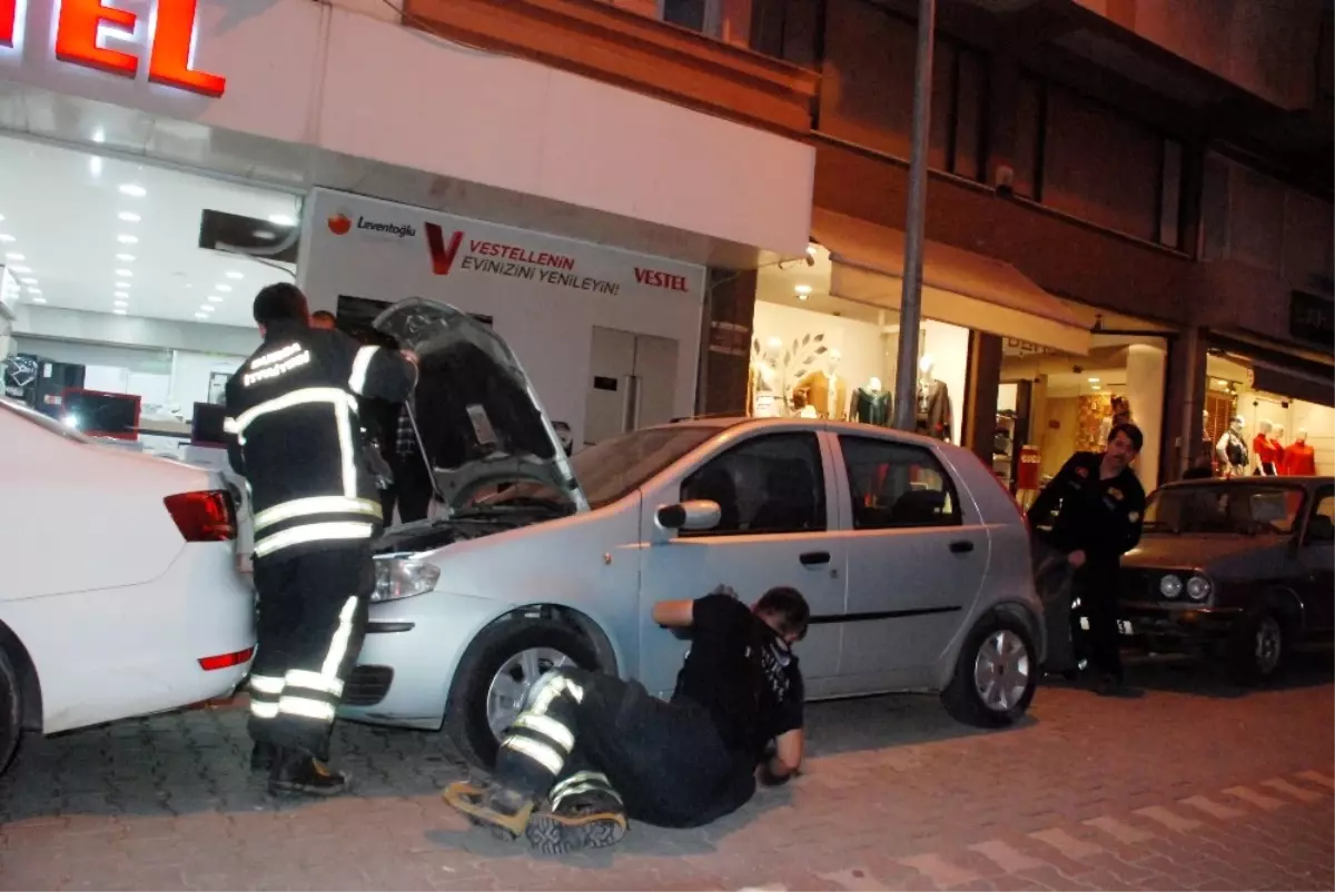 Yaramaz Kedi 8 Saatte Ancak Yakalanabildi