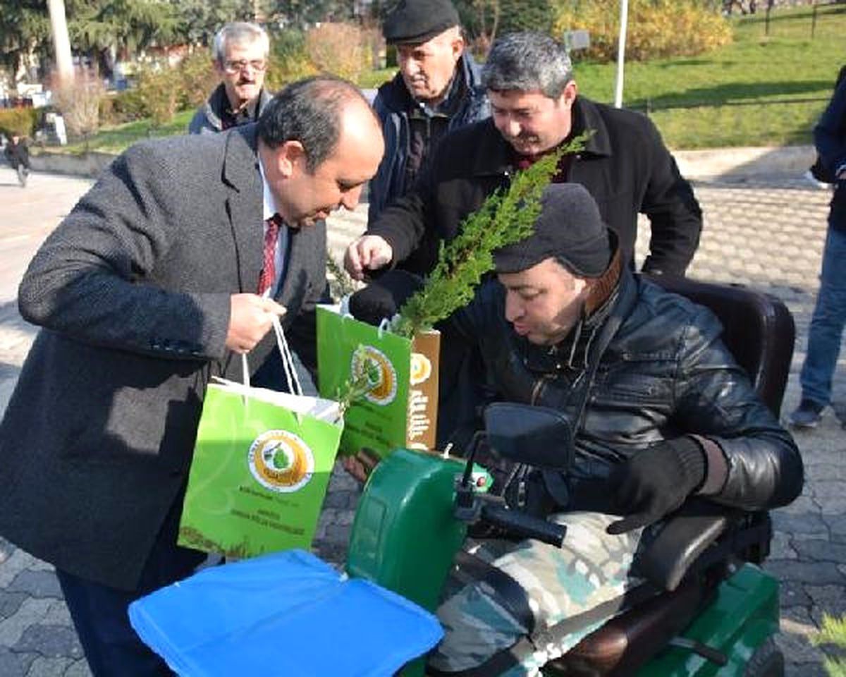 Amasya\'da Ücretsiz Dağıtılan Fidanlara Yoğun İlgi
