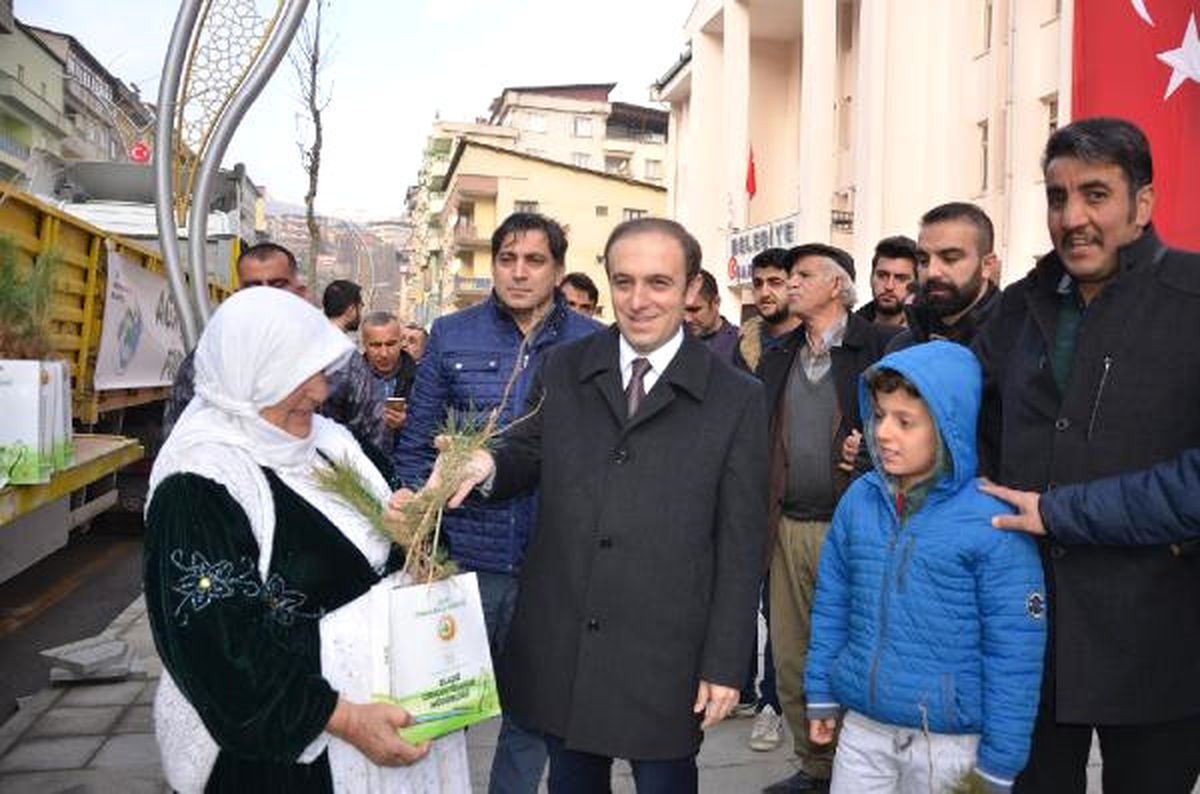 Hakkari\'de Ücretsiz 12 Bin Dut ve Çam Fidanı Dağıtıldı