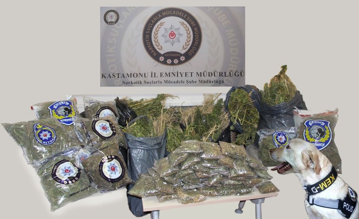 Kastamonu\'da 50 Kilo Kubar Esrar Maddesi Ele Geçirildi