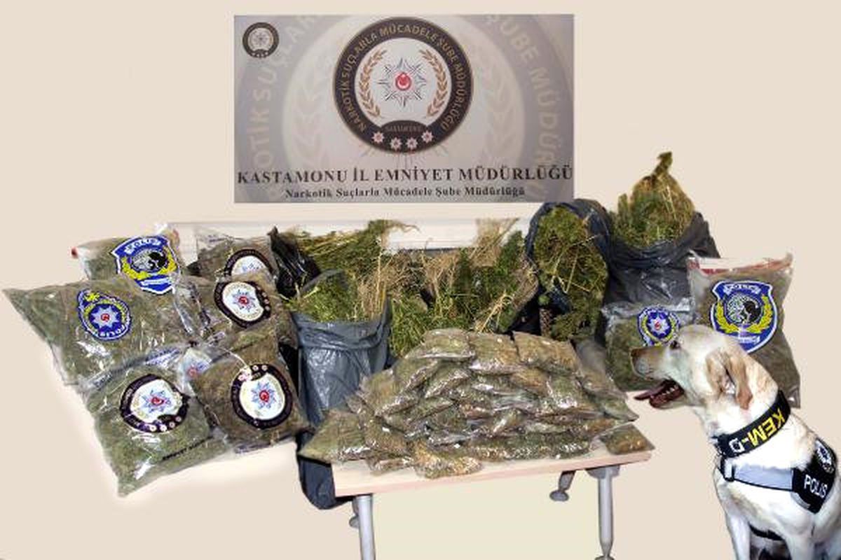 Kastamonu\'da Uyuşturucu Operasyonu
