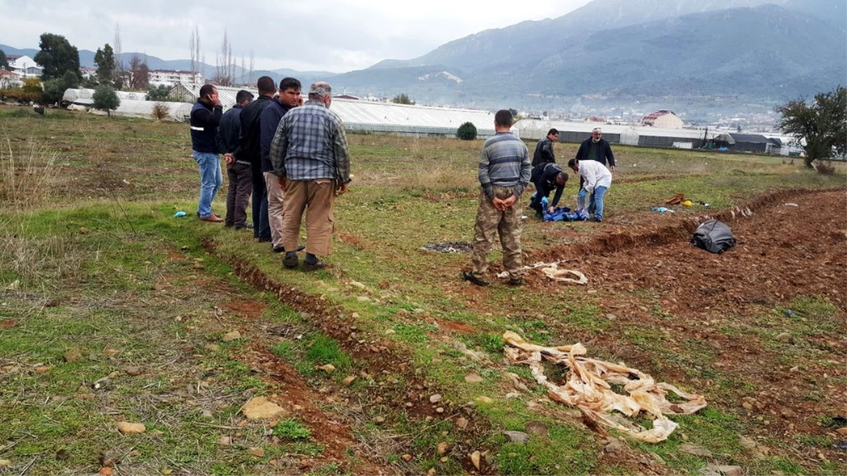 Kocasını Dostuna Öldürtüp Timsah Gözyaşları Döktü