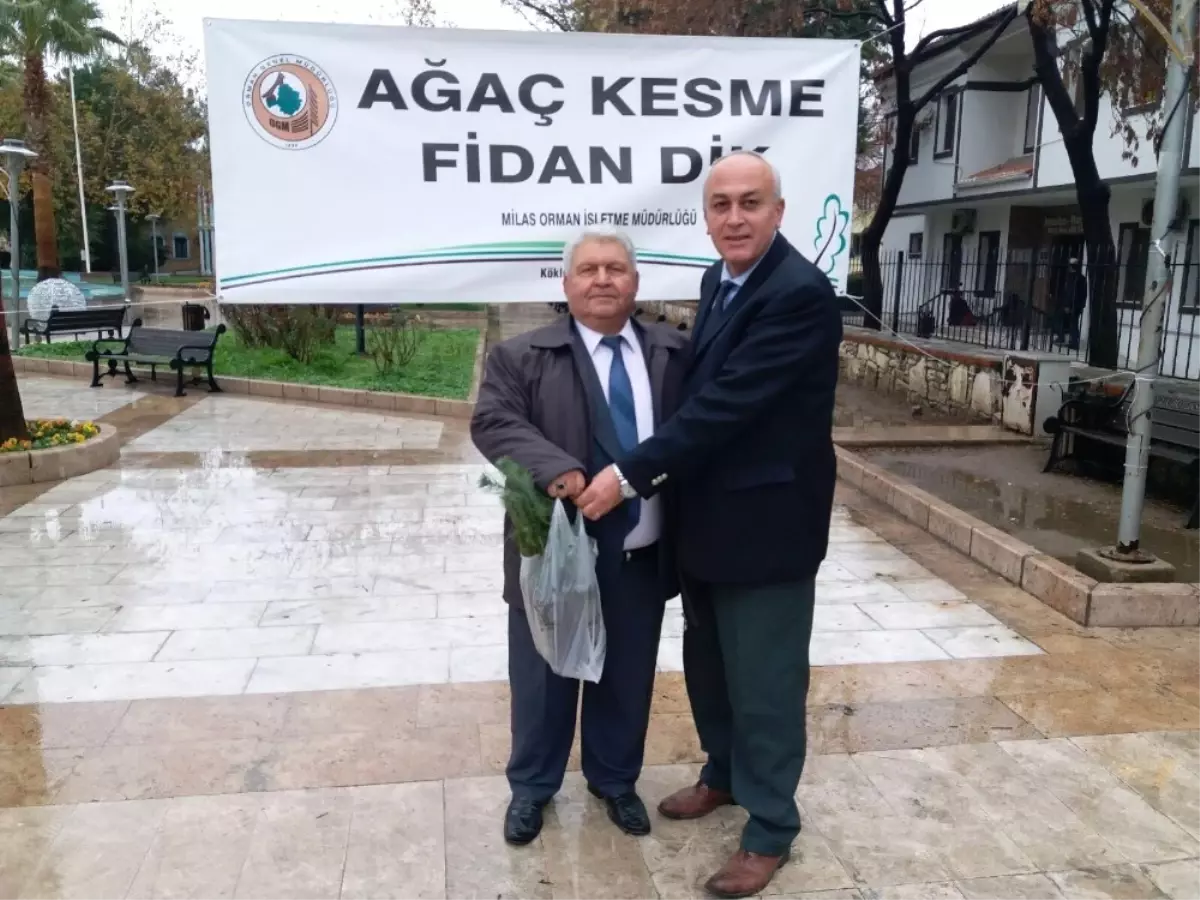 Yeni Yıla Fidan Dikerek Girecekler