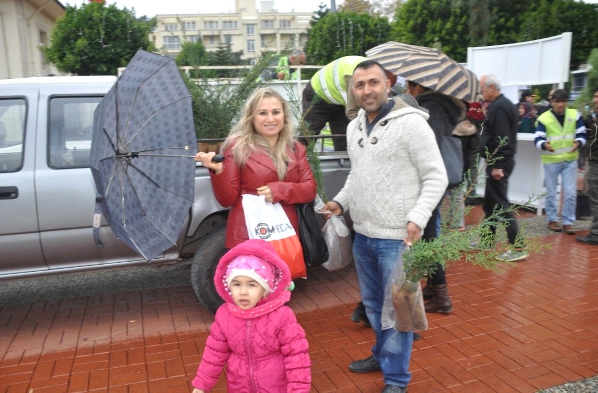 Yılbaşında Ağaç Kesme, Fidan Dik\' Kampanyasında 2 Bin Adet Ücretsiz Fidan Dağıtıldı