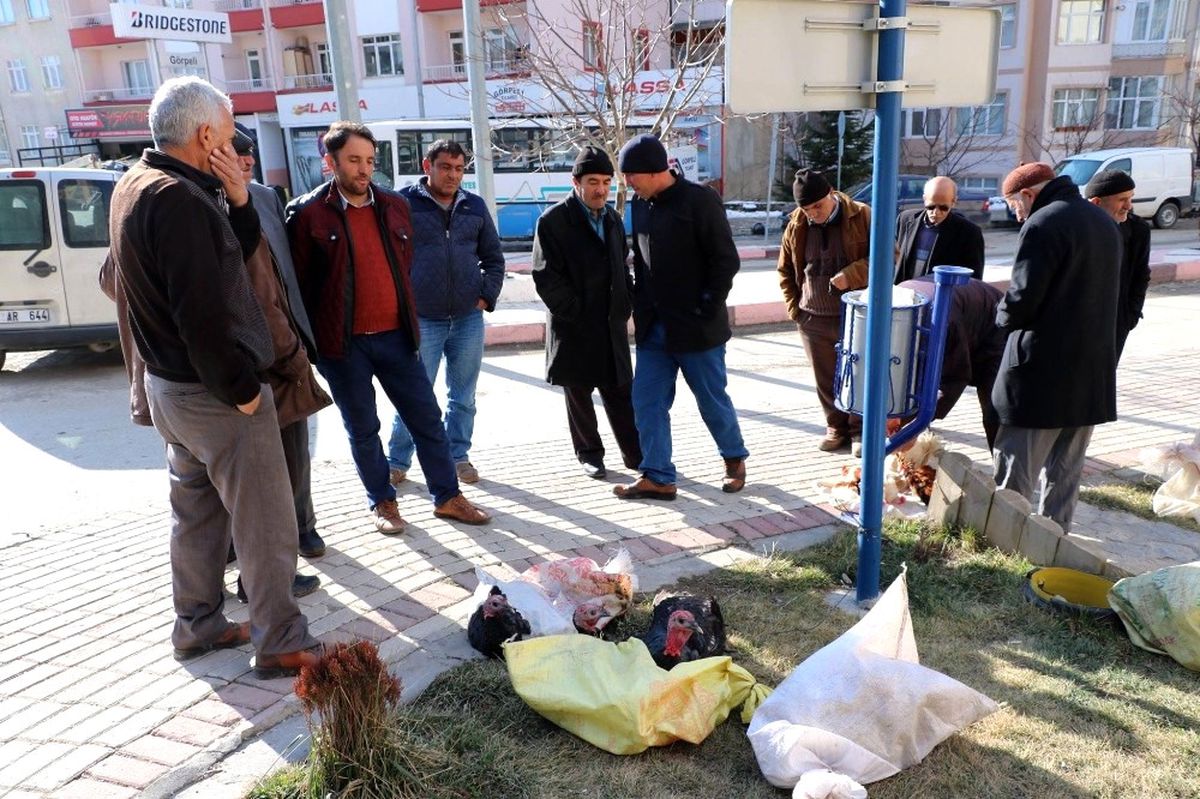 Yozgat\'ta Yılbaşı Hindileri Satışa Çıktı