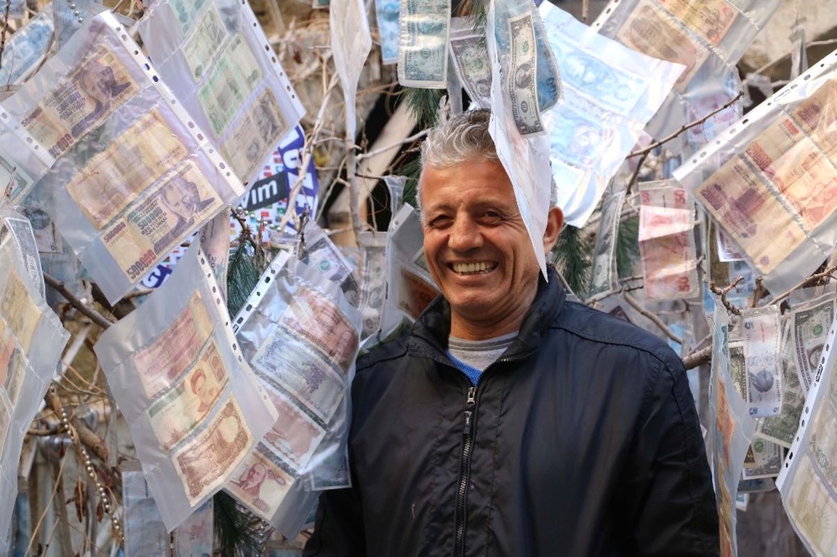 Dünyanın En Pahalı Ağacı