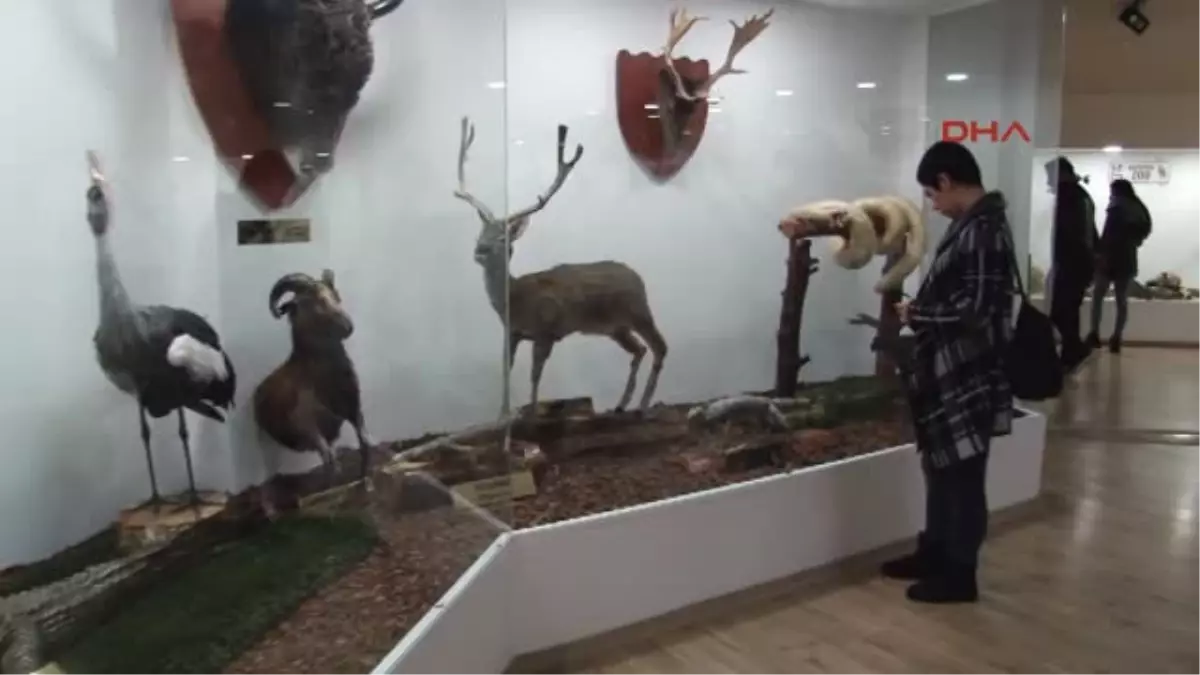 Gaziantep-Türkiye\'nin İlk Zooloji Müzesi, Eğitim Merkezi Halini Aldı