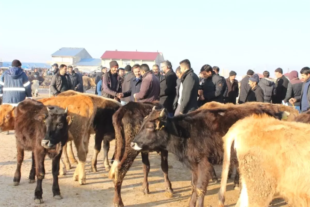 İl Başkanı Aydın Ziyaretlerine Devam Ediyor