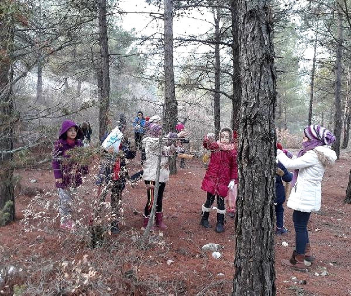 Öğrenciler Ormanda Ağaçlara Kuş Yemlikleri Astı