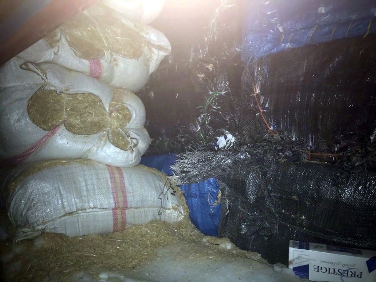 Van\'da 800 Kilo Kaçak Çay Ele Geçirildi