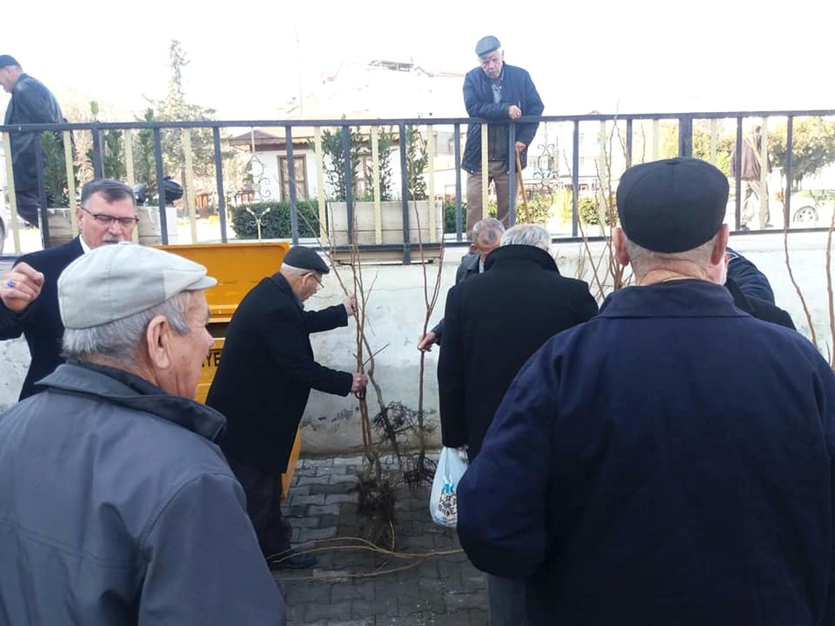 Vezirhan Belediyesi Tarafından Ücretsiz Hurma Dağıtıldı