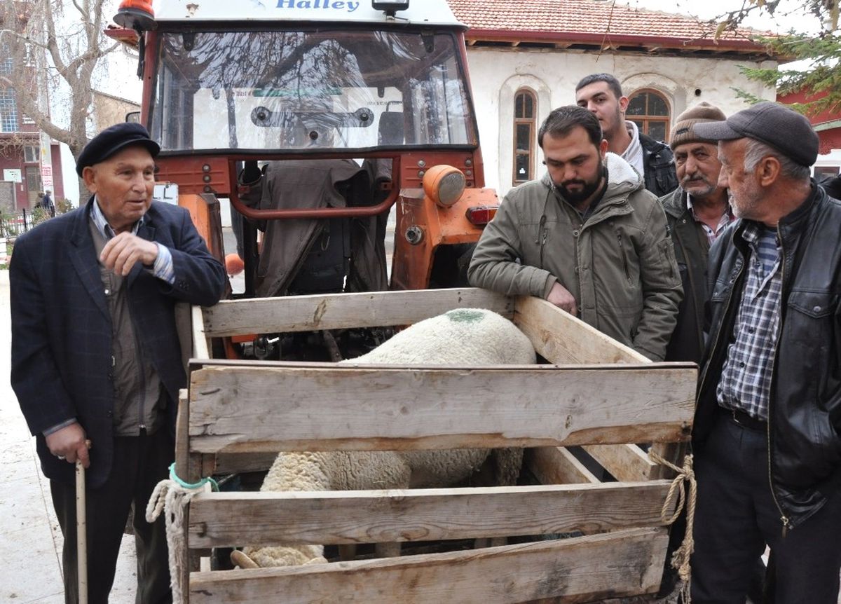 Açık Arttırma ile Satılan Küçükbaş Hayvanın Geliri Camiye Bağışlandı