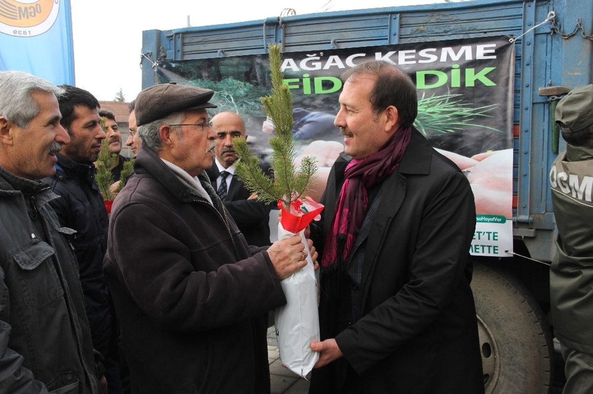 AK Parti Genel Başkan Yardımcısı Karacan Fidan Dağıttı