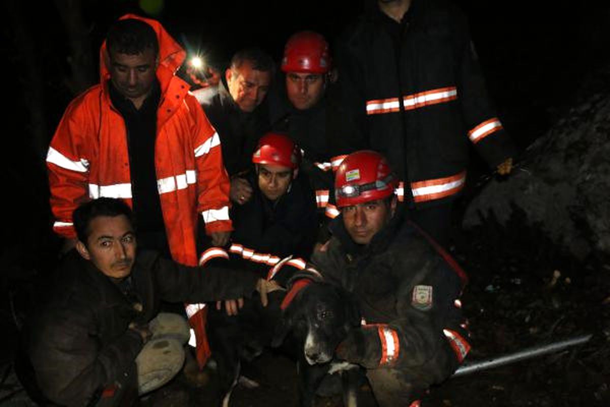 Çukurda Sıkışan Köpeğe 7\'nci Günde de Ulaşılamadı (2)