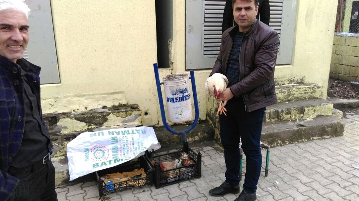 Hindiler Tükenince Horoz Aldılar