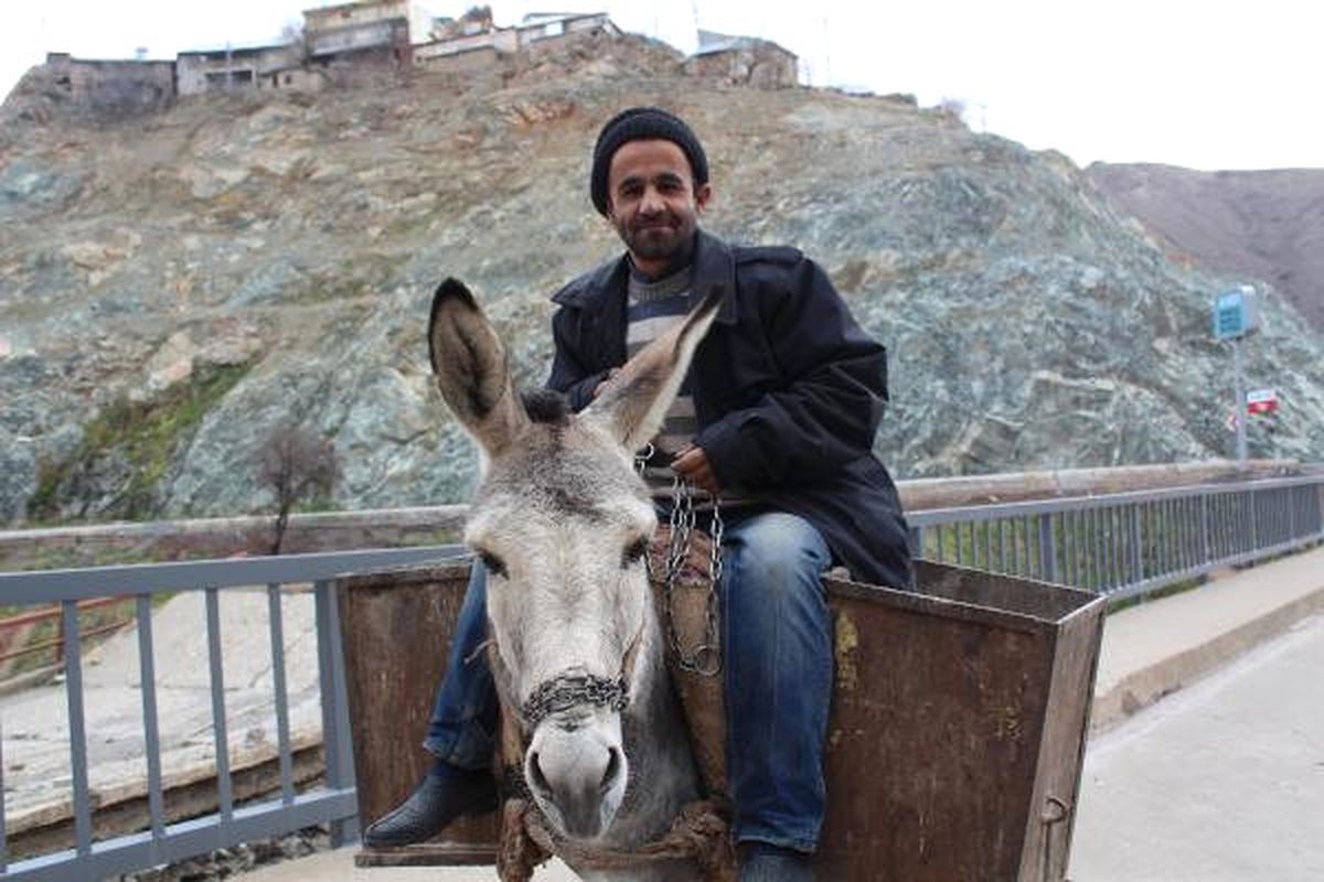Maden\'in Dar Sokaklarındaki Çöpler \'Kadrolu\' Eşeklerle Toplanıyor