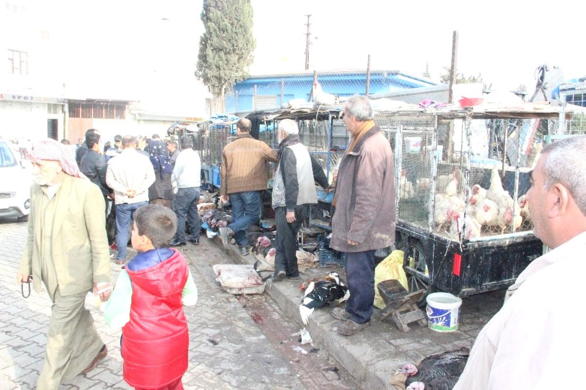 Şanlıurfa\'da Hindilere İlgi Olmadı
