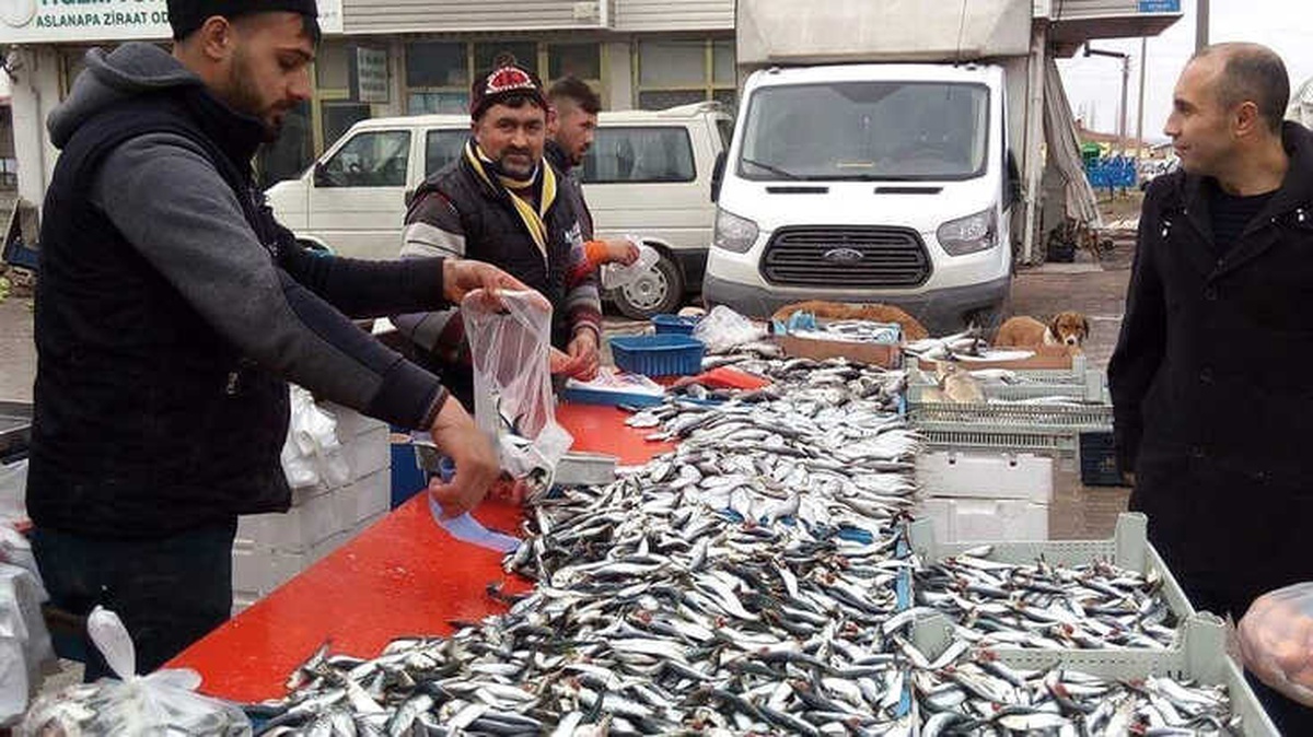 Alabalık ve Palamut\'un Kilosu 12 Liradan Satılıyor