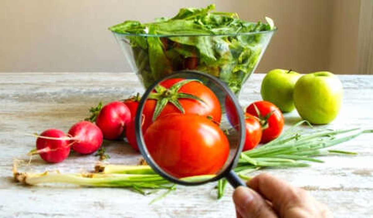 Gıda Güvenliğinin Püf Noktaları