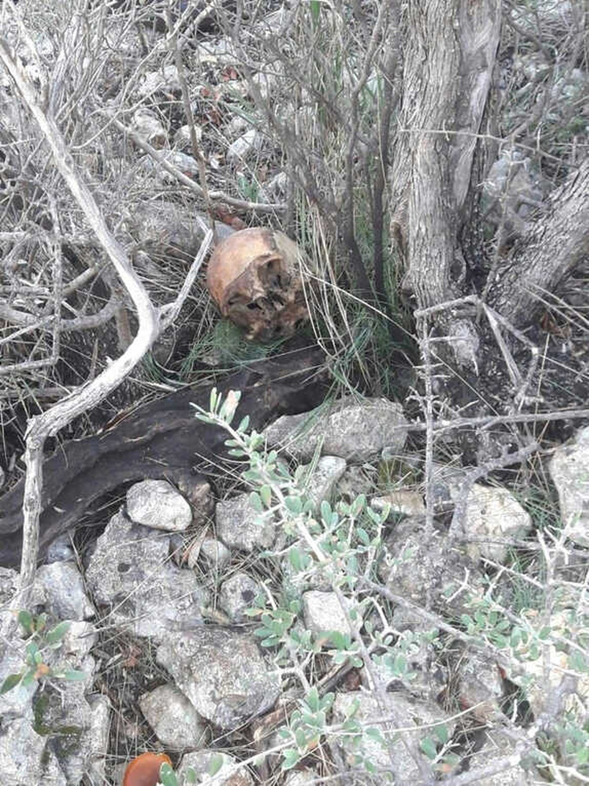 Mersin\'de Çalılık Alanda Bir İnsana Ait Kemik Parçaları Bulundu